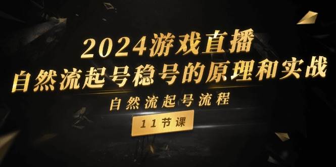 2024游戲直播-自然流起號穩號的原理和實戰，自然流起號流程（11節）插圖
